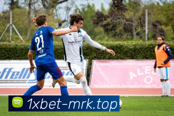 1xbet官网服务体系