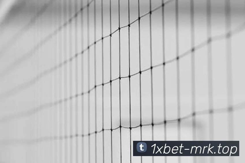 1xbet官网APP 体育赛事宣传图